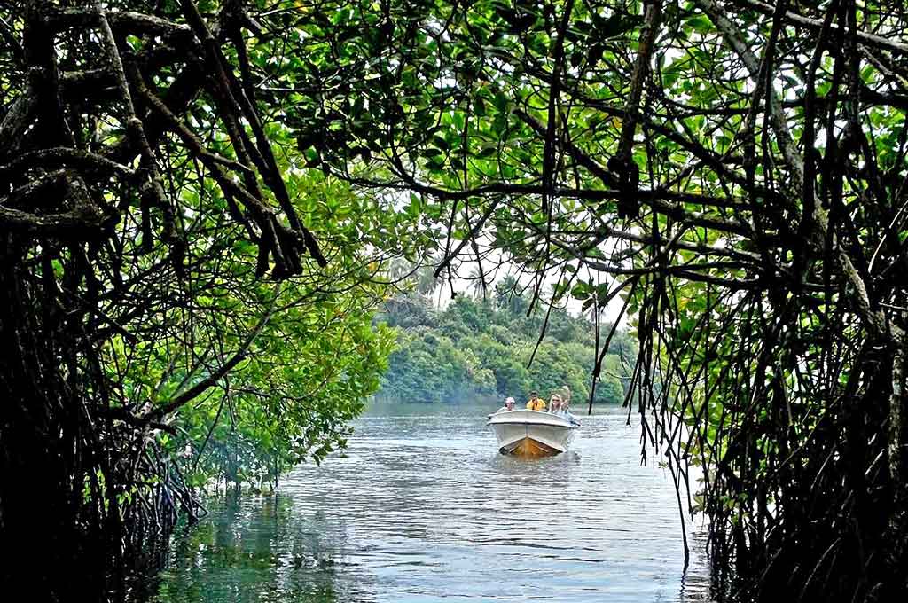 Galle-Madu-River