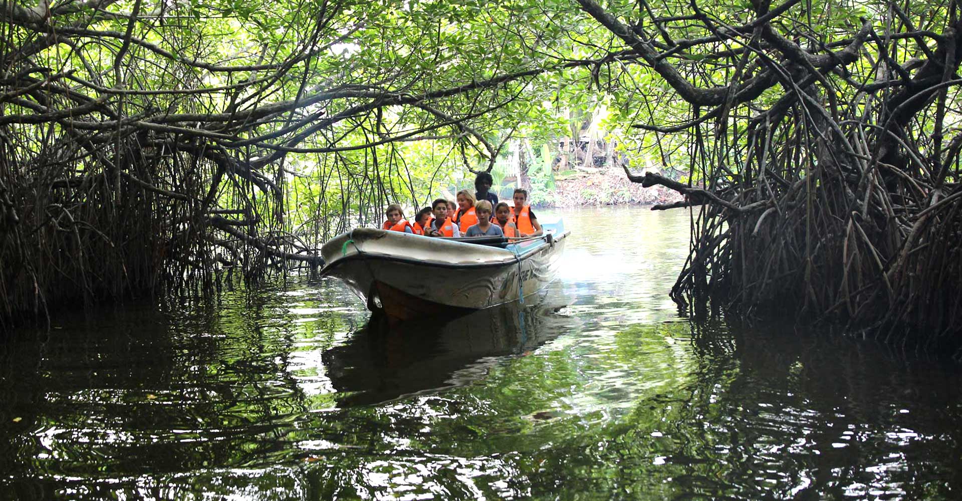 madu river boat safari photos
