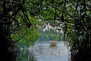 Komadu-Madu River